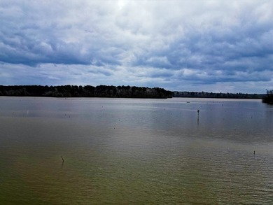 20.4 Pristine **Unrestricted Toledo Bend Waterfront Acres** - photo 2
