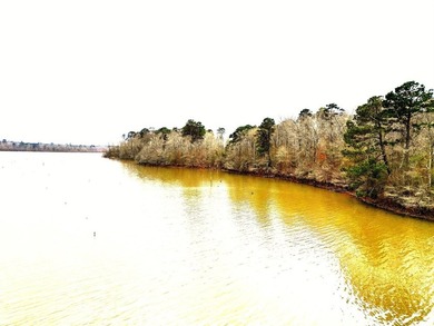 20.4 Pristine **Unrestricted Toledo Bend Waterfront Acres** - photo 3