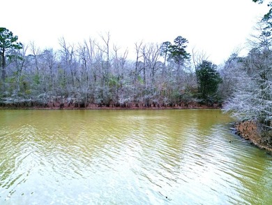 20.4 Pristine **Unrestricted Toledo Bend Waterfront Acres** - photo 4