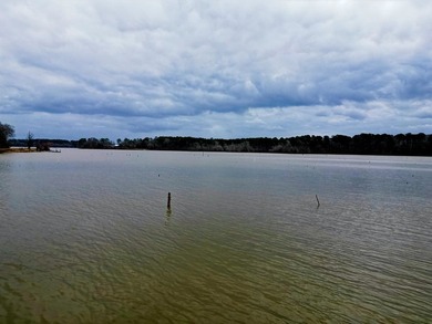 20.4 Pristine **Unrestricted Toledo Bend Waterfront Acres** - photo 5