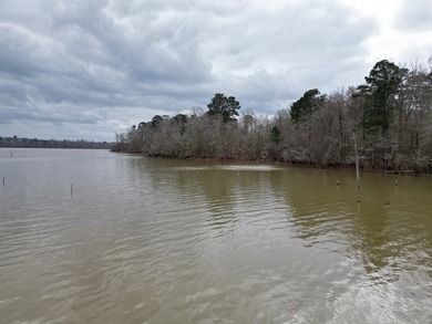 20.4 Pristine **Unrestricted Toledo Bend Waterfront Acres** - photo 6