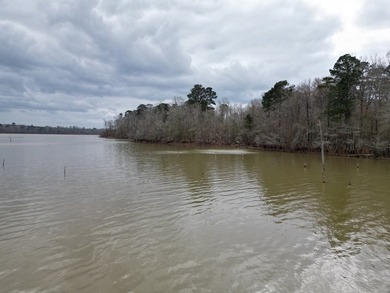 20.4 Pristine **Unrestricted Toledo Bend Waterfront Acres** - photo 7