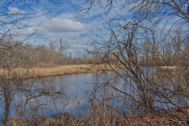 South Branch Grand River Acreage For Sale in Jackson Michigan