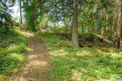 Beautifully wooded 2 acre parcel with superb privacy just - photo 14