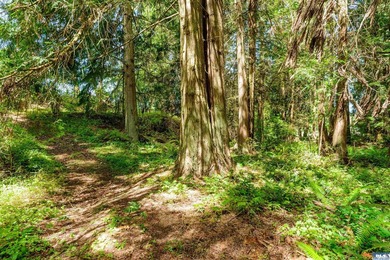 Beautifully wooded 2 acre parcel with superb privacy just - photo 15