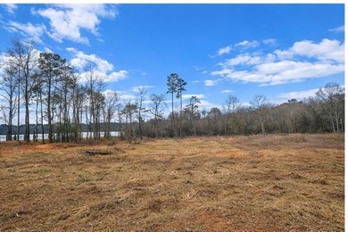 Toledo Bend Lake Lot For Sale in Hemphill Texas