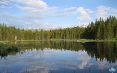 (private lake, pond, creek) Acreage For Sale in Leadville Colorado