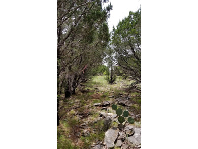 Vacant lot ready to build your dream home on! This lot was - photo 29
