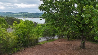Lake Lot For Sale in Bean Station, Tennessee