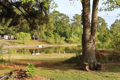 Lakeside Home In Desirable Lake Park. This 3 Bedroom, 2 Bath - photo 45