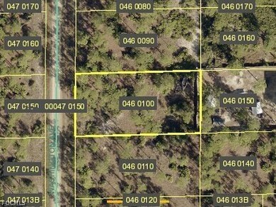 Lehigh Acres Area Lot For Sale in Lehigh Acres Florida