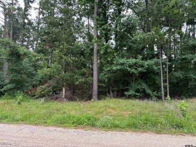 Come check out these 4 lots on CR 2121 for your place to build a - photo 2