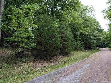 Greers Ferry Lake Lot For Sale in Heber Springs Arkansas