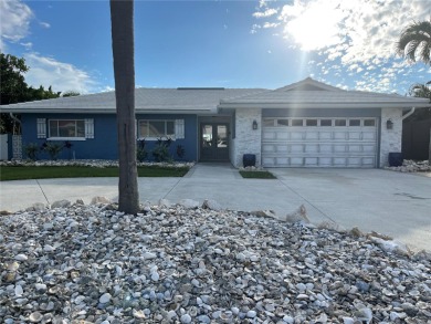 Intracoastal Waterway - Pinellas County Home For Sale in Treasure Island Florida