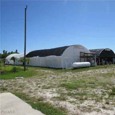 51 + Acres... Upland & Mangrove 50/50ish ... Land, & Buildings - photo 3
