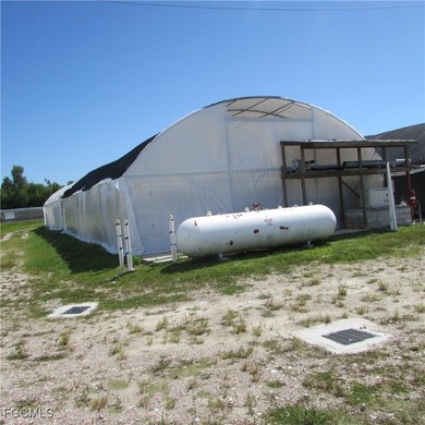 51 + Acres... Upland & Mangrove 50/50ish ... Land, & Buildings - photo 4