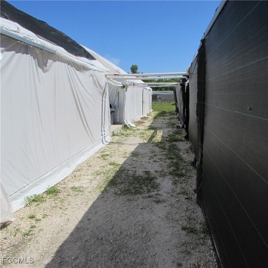 51 + Acres... Upland & Mangrove 50/50ish ... Land, & Buildings - photo 9