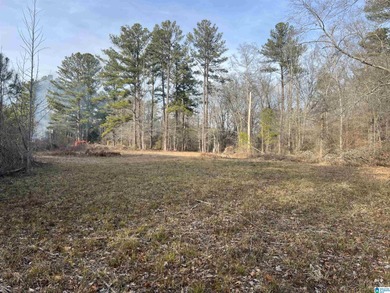 (private lake, pond, coastal) Acreage For Sale in Cropwell Alabama