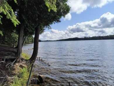 Beatons Lake Acreage Sale Pending in Watersmeet Michigan