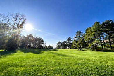 Discover two beautiful restricted lots in the desirable Cypress - photo 6