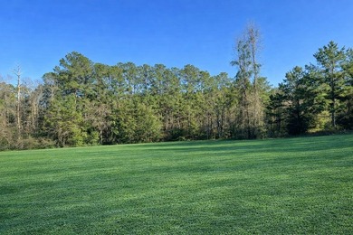Discover two beautiful restricted lots in the desirable Cypress - photo 8