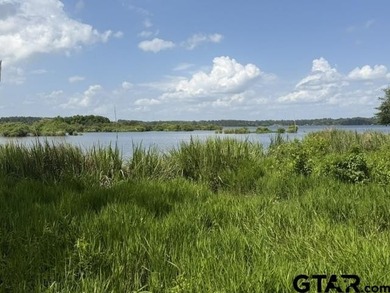Lake Palestine Waterfront Opportunity - 3196 Shadow Pine Drive - photo 1