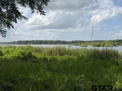 Lake Palestine Waterfront Opportunity - 3196 Shadow Pine Drive - photo 2