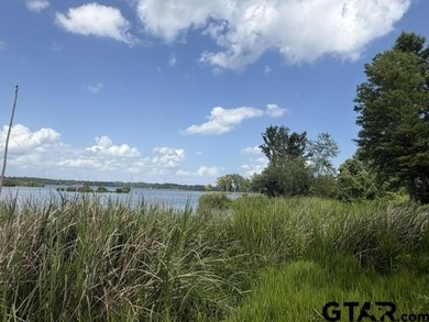 Lake Palestine Waterfront Opportunity - 3196 Shadow Pine Drive - photo 3