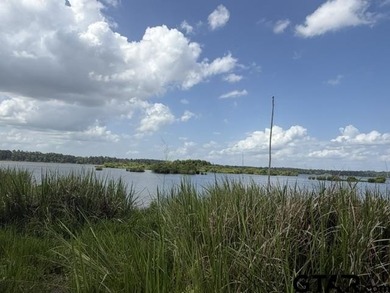 Lake Palestine Waterfront Opportunity - 3196 Shadow Pine Drive - photo 4