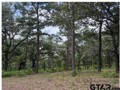 Lake Palestine Waterfront Opportunity - 3196 Shadow Pine Drive - photo 5