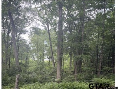 Lake Palestine Waterfront Opportunity - 3196 Shadow Pine Drive - photo 6