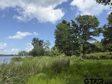 Lake Palestine Waterfront Opportunity - 3196 Shadow Pine Drive - photo 7
