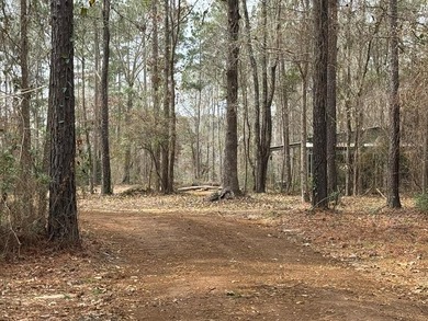 Experience lake living at its best with this brand-new barndo - photo 1