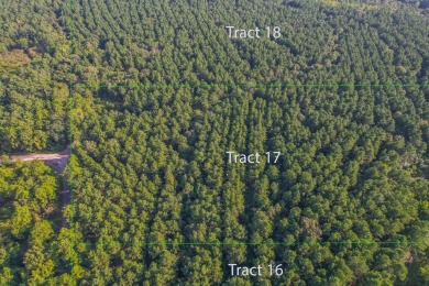 Lake Palestine Acreage For Sale in Frankston Texas