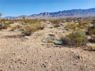 Lake Lot For Sale in Meadview, Arizona