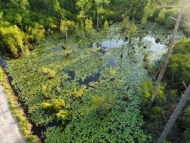 A unique residential homesite offering privacy, natural - photo 6