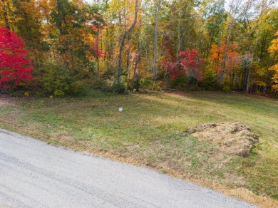 Lake Lot For Sale in Nancy, Kentucky