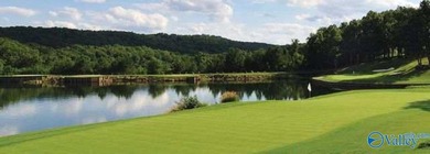 Custom luxury home in Cherokee Ridge's gated golf community - photo 48