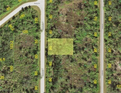 Port Charlotte Waterway Area Lot Sale Pending in Port Charlotte Florida