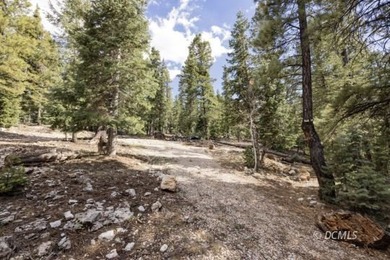 Navajo Lake Lot For Sale in Duck Creek Village Utah