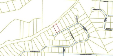 Magnolia Bay Estates is a gated, 79 lot subdivision that has 26 - photo 1