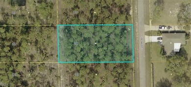 Lehigh Acres Area Lot Sale Pending in Lehigh Acres Florida
