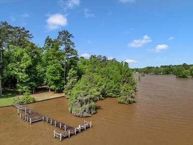 Lakefront Sanctuary on a Private Peninsula Nestled at the end of - photo 11