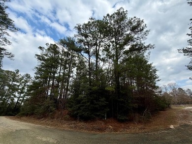 Lake Sam Rayburn  Lot For Sale in Brookeland Texas