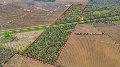 (private lake, pond, coastal) Acreage Sale Pending in Clayton Louisiana