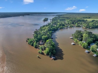 Lakefront Sanctuary on a Private Peninsula Nestled at the end of - photo 12