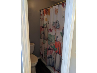 Updated 1BR/1BA Townhome in West AshleyDon't miss this move-in - photo 12