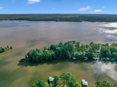 Lakefront Sanctuary on a Private Peninsula Nestled at the end of - photo 13