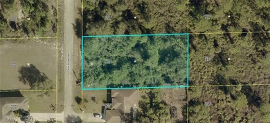 Lehigh Acres Area Lot For Sale in Lehigh Acres Florida