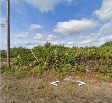 Lehigh Acres Area Lot For Sale in Lehigh Acres Florida